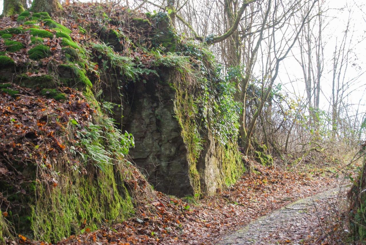 Gästehaus an der Moseltherme Traben-Trarbach Exterior foto